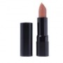 LT Pro Velvet Matte Lipstick 101 Sandy Beige lipstick