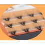 Star Colors butterfly Style Eyelash Extension XEB-011