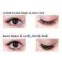 Star Colors butterfly Style Eyelash Extension XEB-011